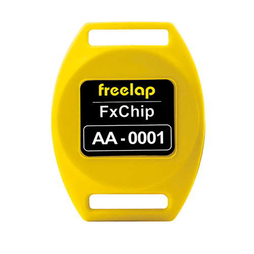 FxChip