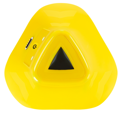 e-Starter Remote